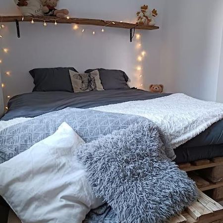 T2 Ultra Cosy En Hypercentre Daire Tarare Dış mekan fotoğraf