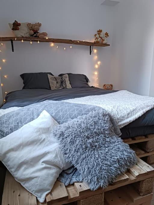 T2 Ultra Cosy En Hypercentre Daire Tarare Dış mekan fotoğraf