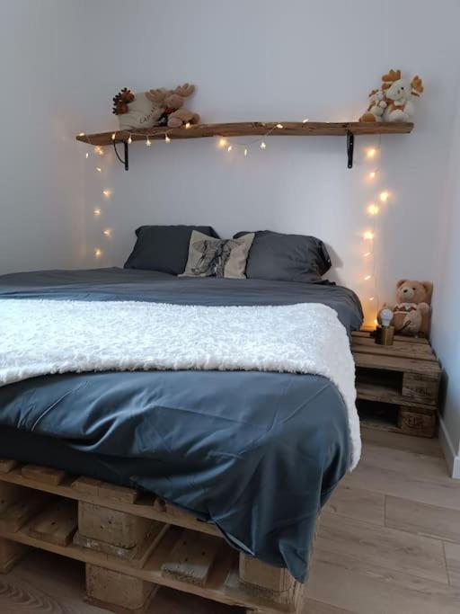 T2 Ultra Cosy En Hypercentre Daire Tarare Dış mekan fotoğraf